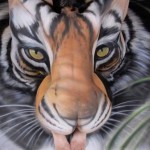 Bodypaint Tiger Optical Illusion by Craig Tracy 4