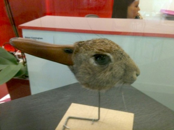 A Real Life Rabbit-Duck Illusion?