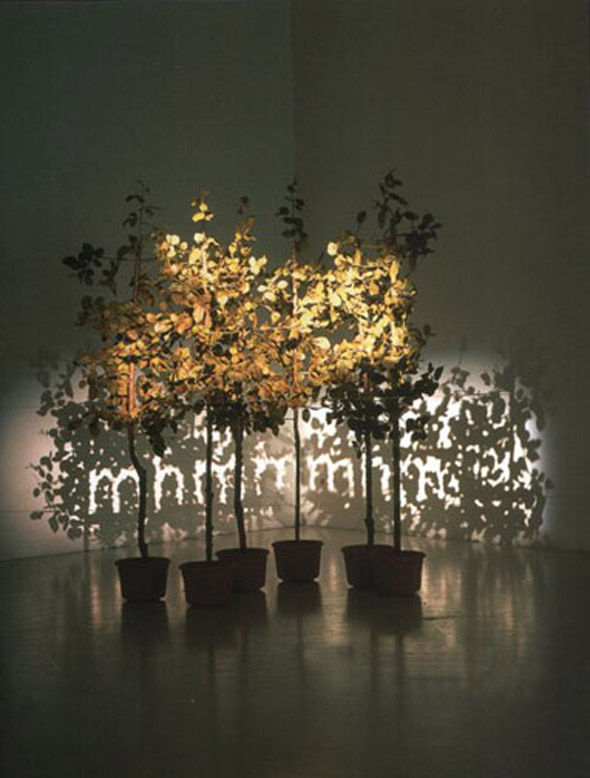 Fred Eerdekens - Tree1b